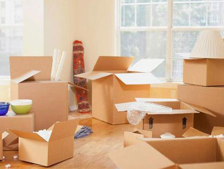 Company Shifting Raipur