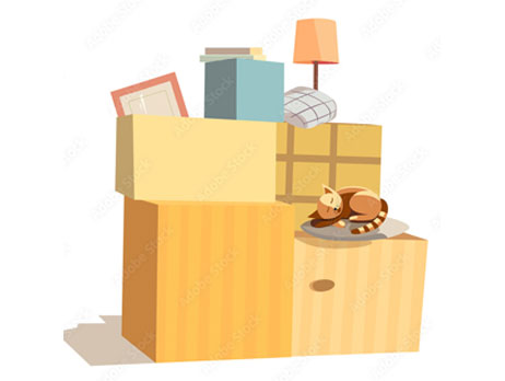Step-By-Step Packing Process Raipur